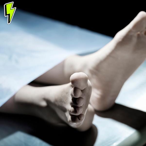 Dead Internet, Human Costs